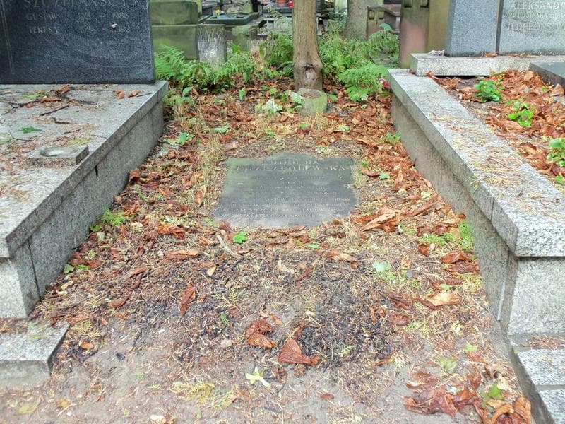 Zdjęcie grobu: Antonina Przezpolewska