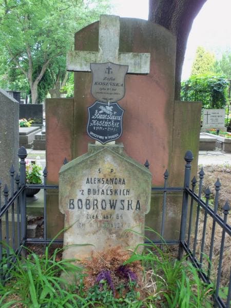 Zdjęcie grobu Aleksandra Bobrowska (2)