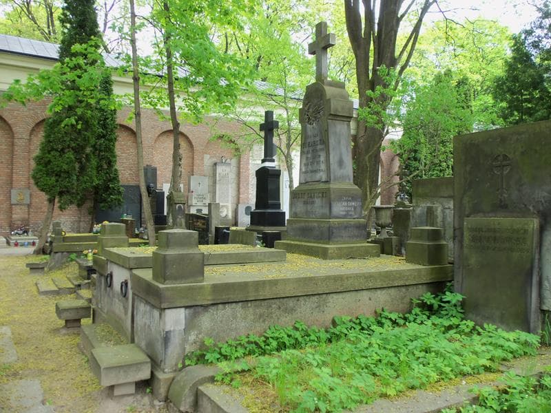 Zdjęcie grobu Zofia Tokarska-Drwęska (1)