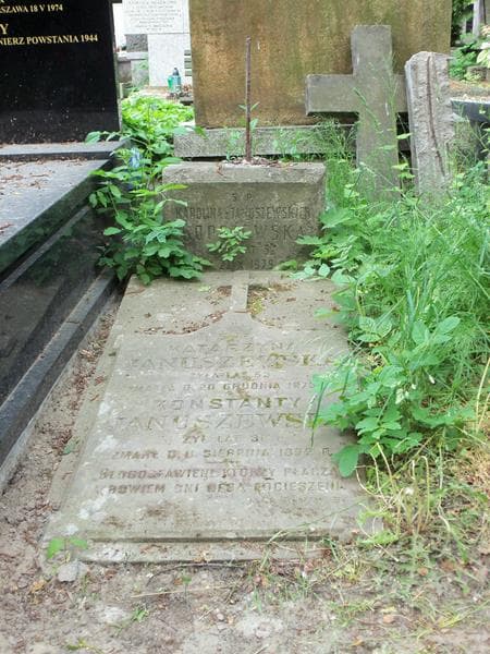 Zdjęcie grobu Konstanty Januszewski (2)