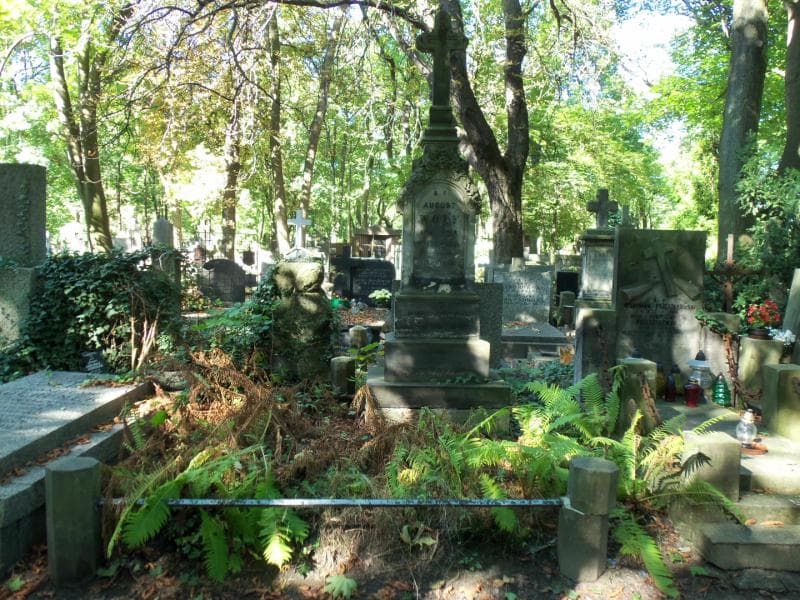 Zdjęcie grobu: August Wolf