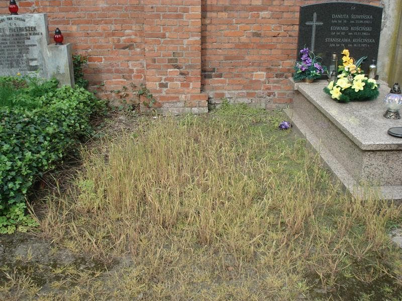 Zdjęcie grobu: Pole Grobowe