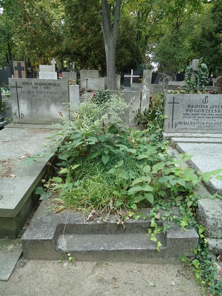 Zdjęcie grobu: Maria Michalska