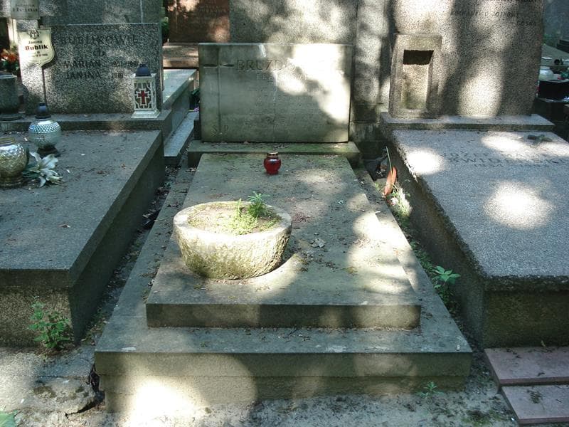 Zdjęcie grobu: Franciszek Bruzdowicz