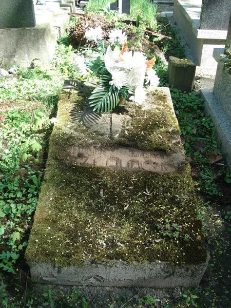 Zdjęcie grobu Salomeja Orzechowska (1)
