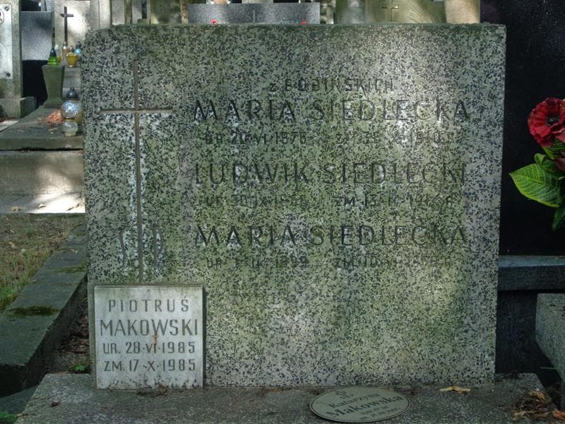 Zdjęcie grobu Piotruś Makowski (2)