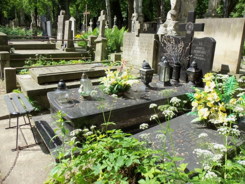 Zdjęcie grobu Antonina Ostrowska (1)