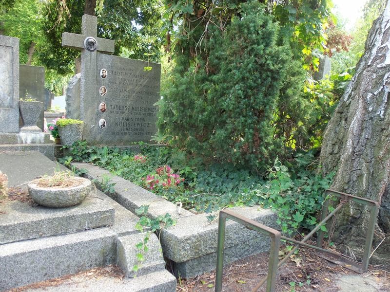 Zdjęcie grobu Tadeusz Kulisiewicz (1)