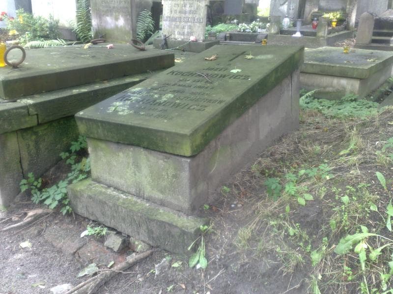 Zdjęcie grobu Józef Kochanowicz (1)