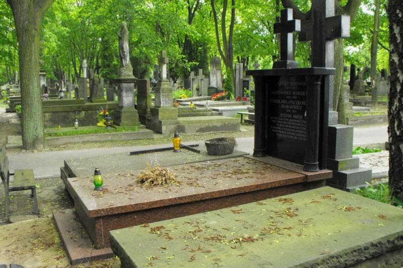 Zdjęcie grobu Aleksander Margiewicz (2)