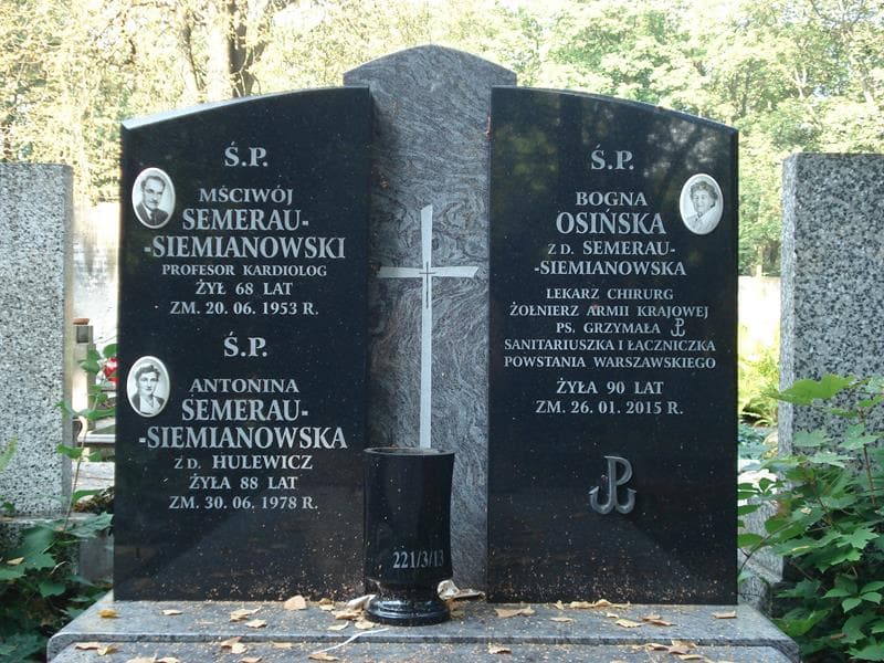 Zdjęcie grobu Mściwój Semerau-Siemianowski (2)