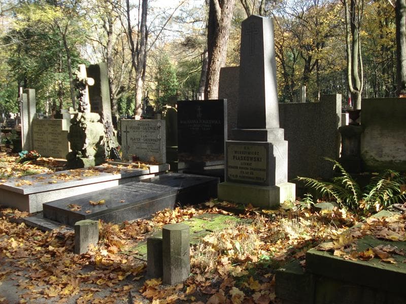Zdjęcie grobu Włodzimierz Pląskowski (1)