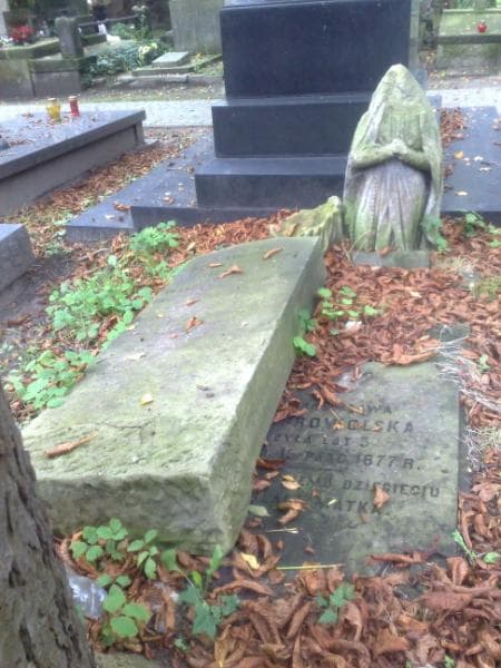 Zdjęcie grobu Bronisława Dobrowolska (1)