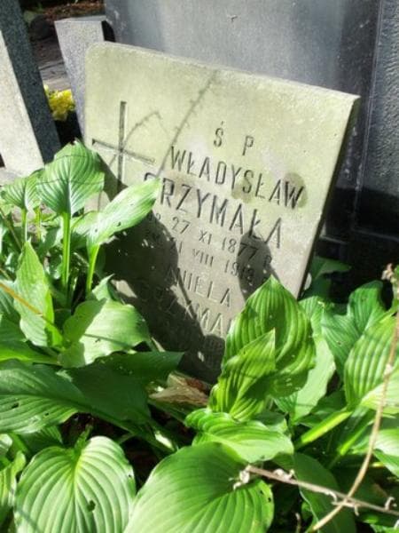 Zdjęcie grobu Aniela Grzymała (1)