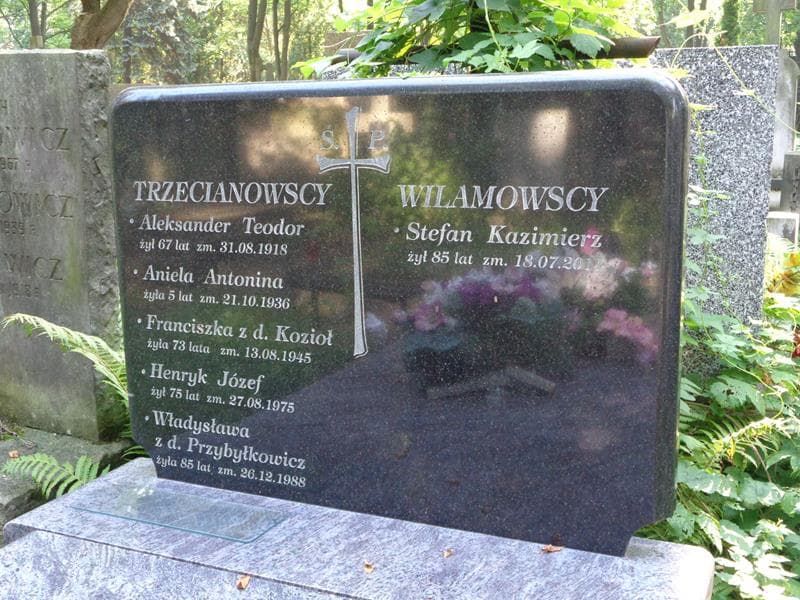 Zdjęcie grobu Franciszka Tzrecianowska (1)