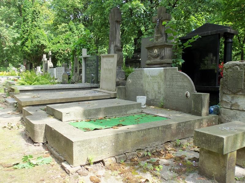 Zdjęcie grobu Apolinary Malarecki (1)