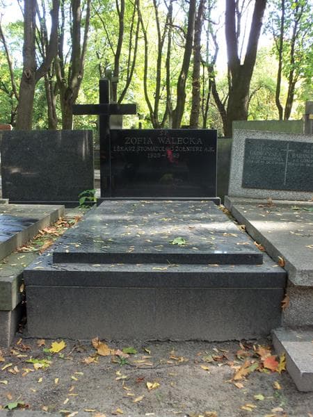 Zdjęcie grobu: Zofia Walecka