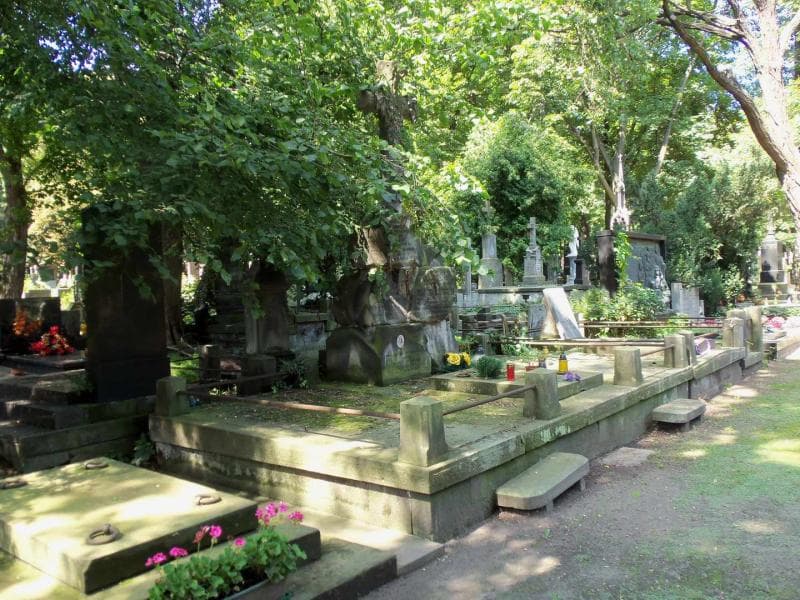 Zdjęcie grobu Antoni Magnuski (1)