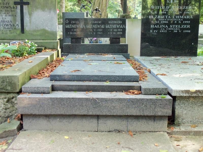 Zdjęcie grobu: Zygmunt Grzeniewski