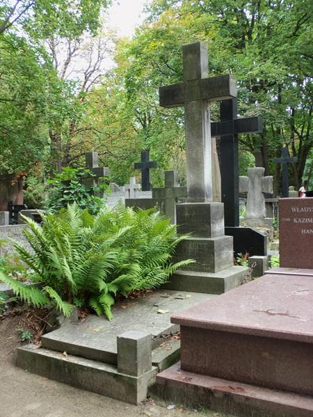 Zdjęcie grobu Jerzy Niemirycz (1)