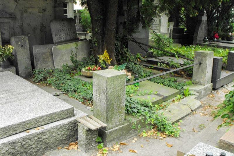 Zdjęcie grobu Amelia Bogucka (1)