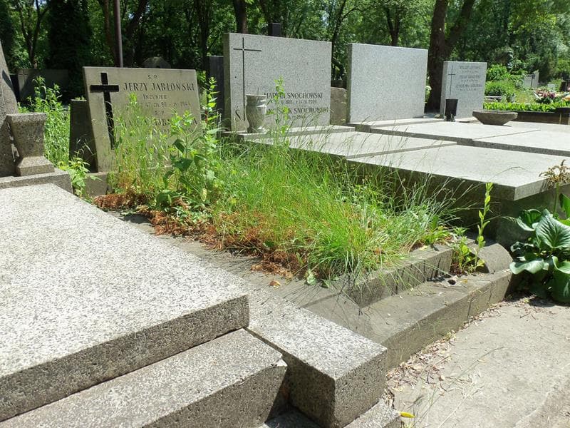 Zdjęcie grobu Jerzy Jabłoński (1)