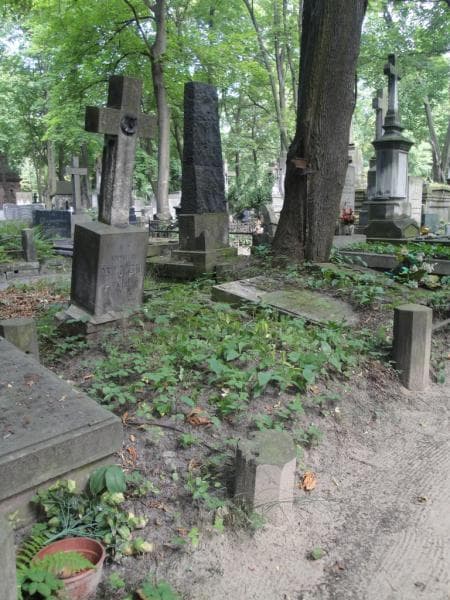 Zdjęcie grobu Stanisław Osikowski (1)