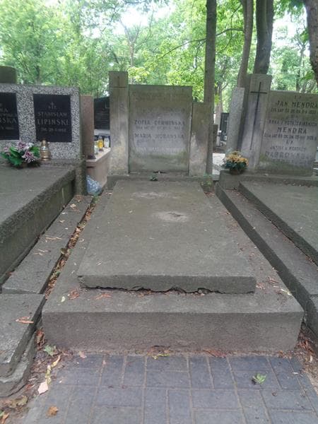Zdjęcie grobu Zofia Derwińska (1)