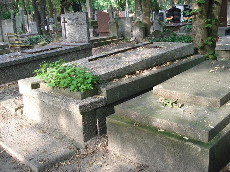 Zdjęcie grobu Henryka Tkacz (1)