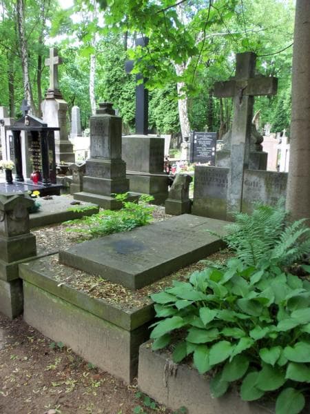 Zdjęcie grobu Ignacy Goliszewski (1)