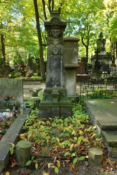 Zdjęcie grobu: Walery Gomulicki