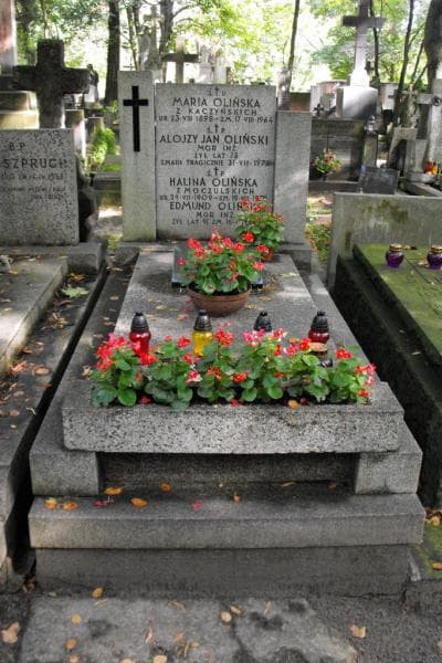Zdjęcie grobu: Alojzy Jan Oliński