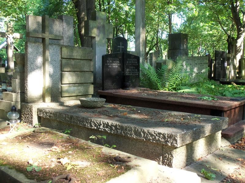 Zdjęcie grobu Władysław Seroczyński (1)