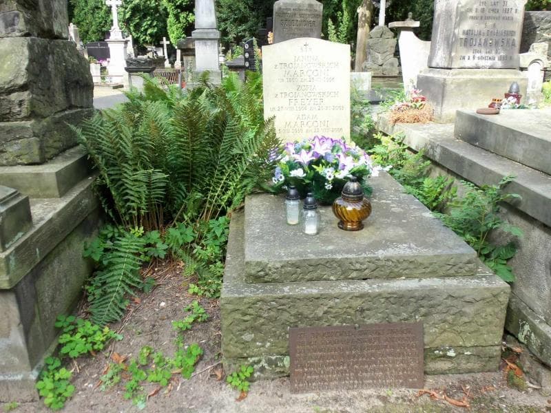 Zdjęcie grobu: Antoni Kochanowski