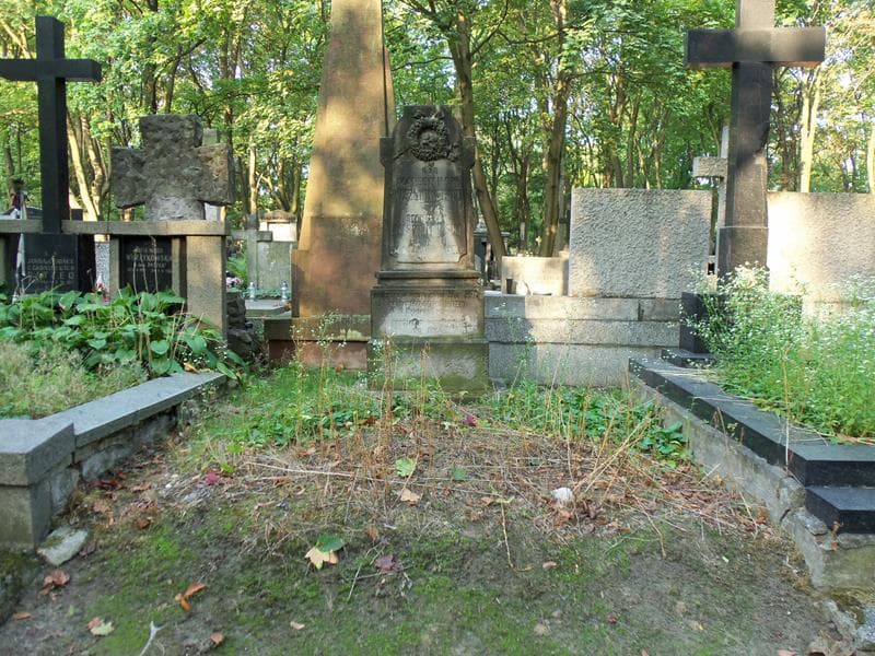 Zdjęcie grobu: Elżbieta Langwińska