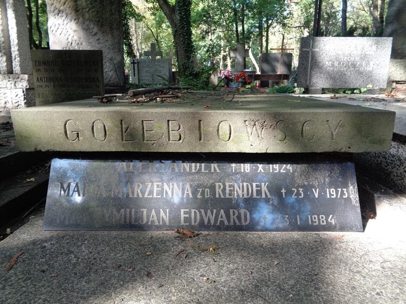 Zdjęcie grobu Aleksander Gołębiowski (1)