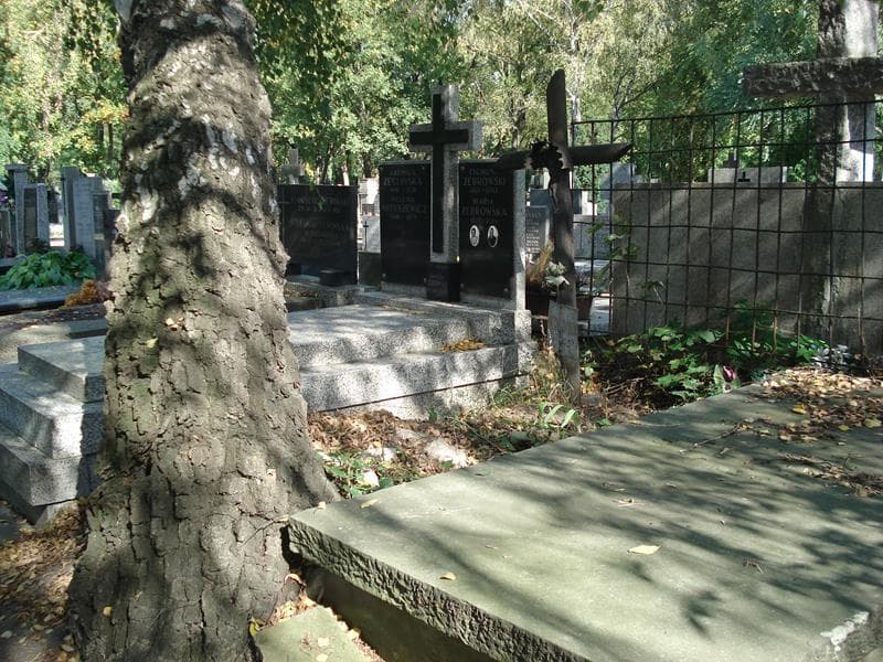 Zdjęcie grobu Antoni Dadzik (1)