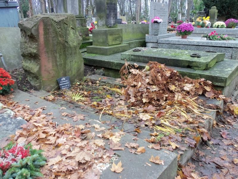 Zdjęcie grobu Justyna Lisowska (1)