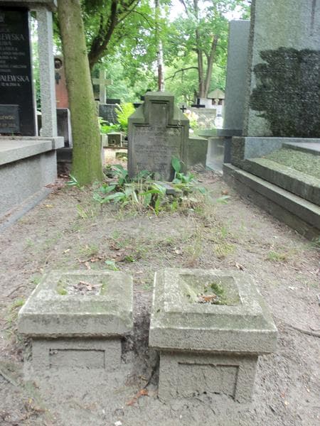 Zdjęcie grobu: Bronisław Drzewiecki