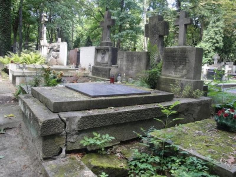 Zdjęcie grobu Witold Dowgint Nieciuński (1)