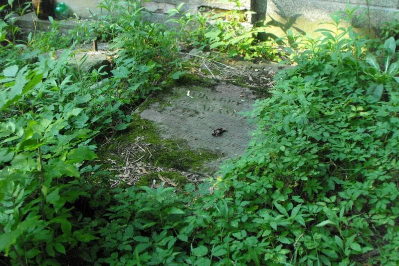 Zdjęcie grobu Wiktoryn Krzymiński (1)