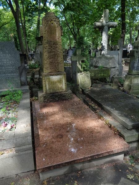 Zdjęcie grobu Ludwika Lubicz-Żółkiewska (1)