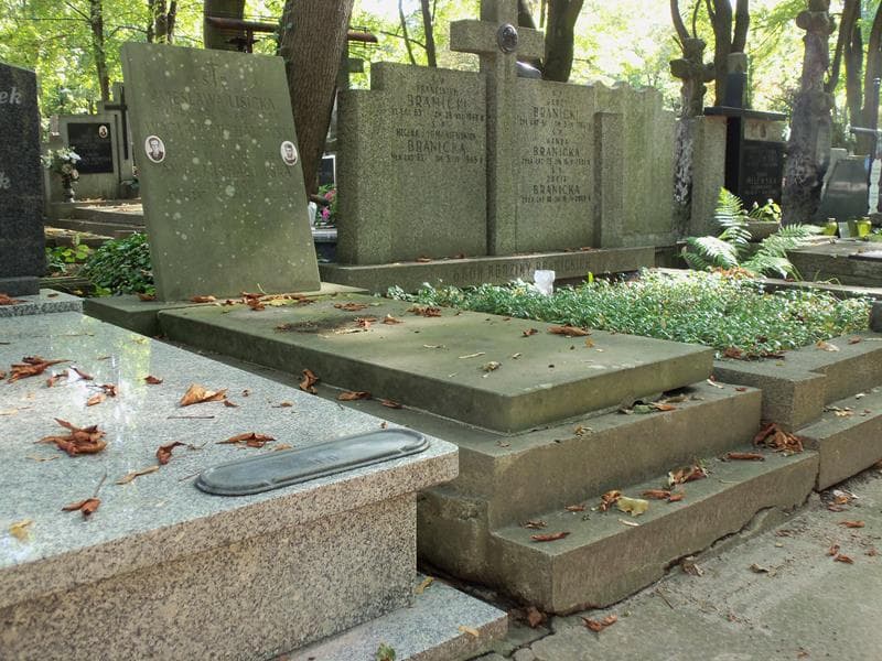 Zdjęcie grobu Wacław Michałowski (1)