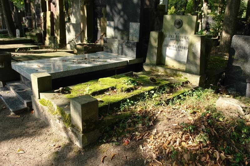 Zdjęcie grobu Jadwiga Drobik (1)