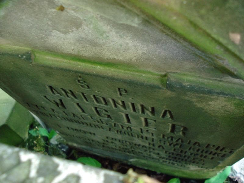 Zdjęcie grobu Krystyna Dworak (2)