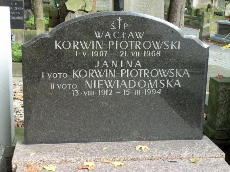 Zdjęcie grobu Janina Niewiadomska (2)