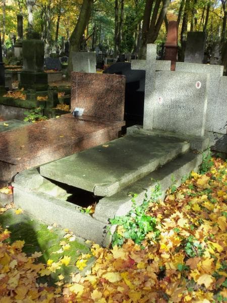 Zdjęcie grobu Janina Bobińska (1)
