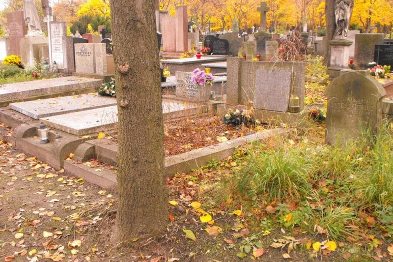 Zdjęcie grobu Maria Bielska (1)