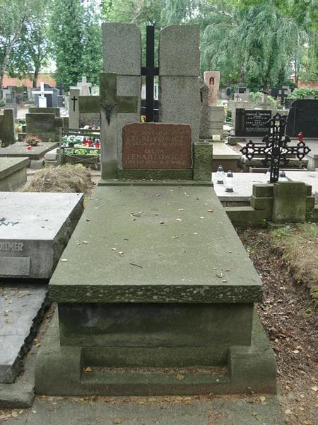 Zdjęcie grobu: Irena Lenartowicz