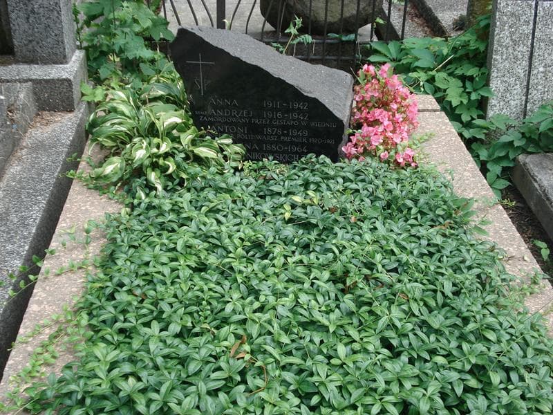 Zdjęcie grobu Andrzej Ponikowski (2)
